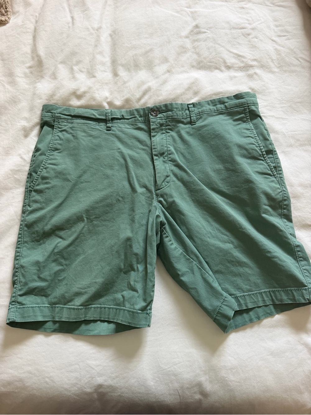 Goodfellow & Co Sage Green Flat-Front Casual Shorts